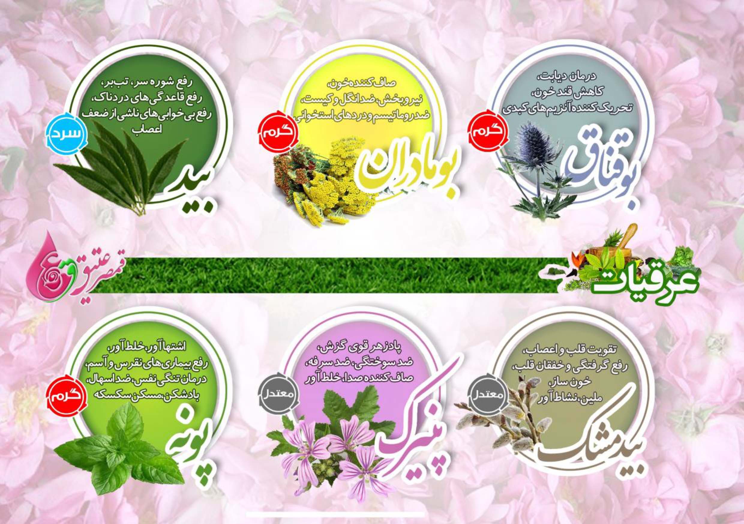 خرید عرقیات قمصر کاشان